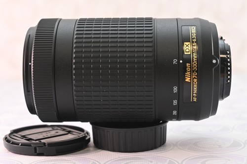 Obiettivo nikon dx nkkor - af-p,